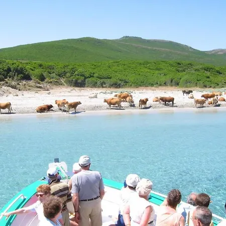 U Tigru - Maison Luxe Et Cosy Au Coeur Du Cap Corse Luri
