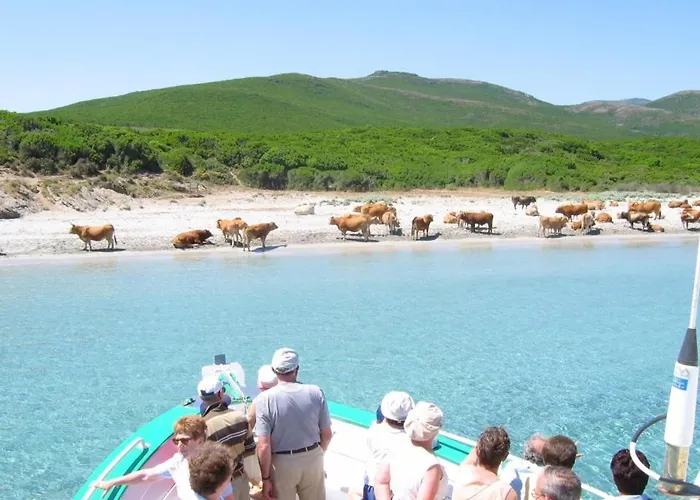 U Tigru - Maison Luxe Et Cosy Au Coeur Du Cap Corse Luri