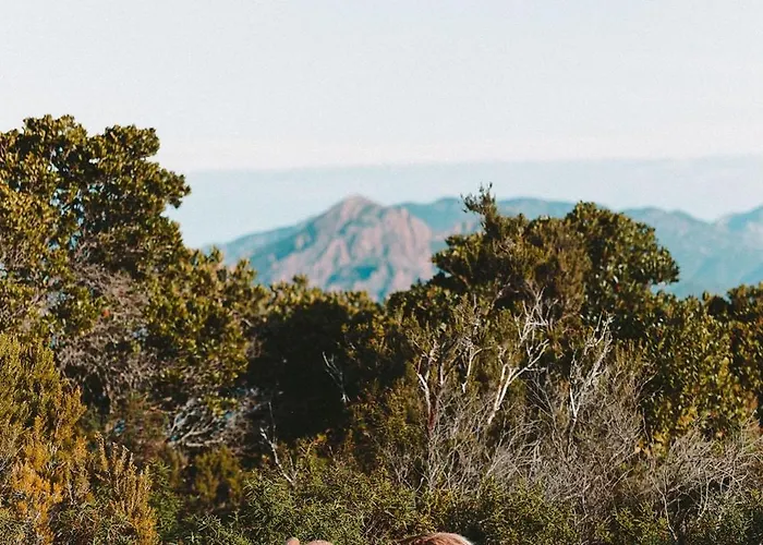 Feriehus U Tigru - Maison Luxe Et Cosy Au Coeur Du Cap Corse