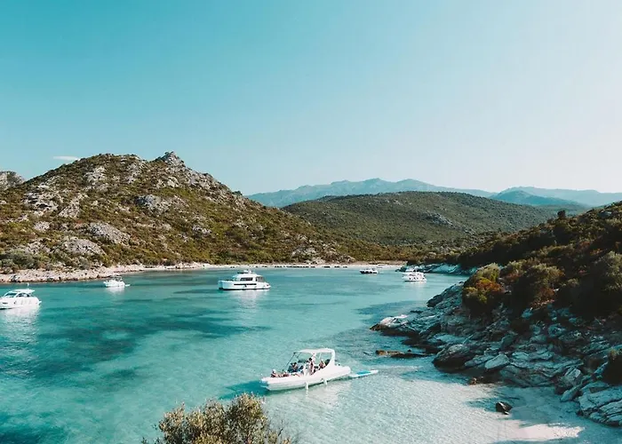 Feriehus U Tigru - Maison Luxe Et Cosy Au Coeur Du Cap Corse